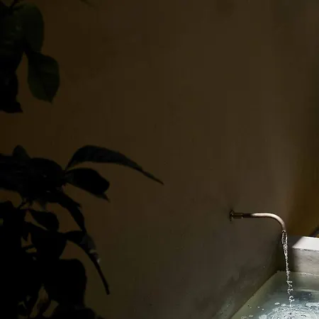 Azul & Limon . Córdoba