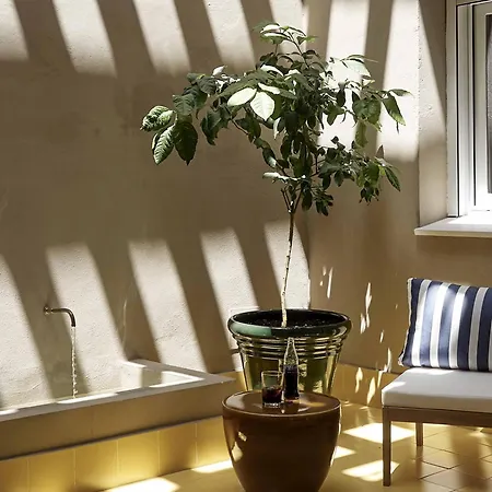 Azul & Limon . Córdoba