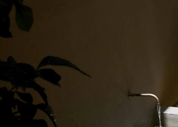 Azul & Limon Córdoba